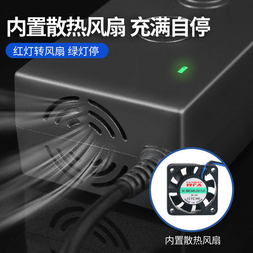 带风扇12.6V5A8A10A锂电池一体机充电器12V电瓶机60A聚合物40A80A - 图1