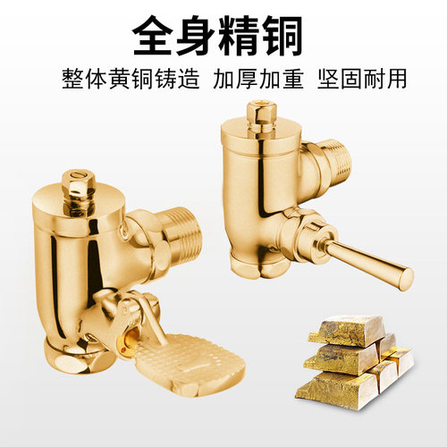 时龙 全铜 角式大便冲洗阀 手柄式或脚踏式冲水阀 冲水伐 CL07 - 图1