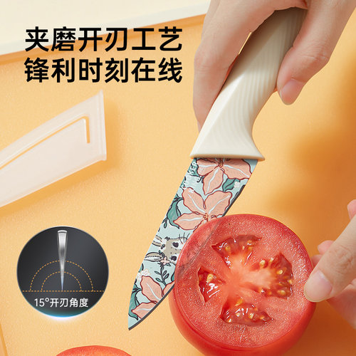 炊大皇水果刀家用不锈钢瓜果刀具厨房削皮器两件套宿舍用学生套装 - 图2