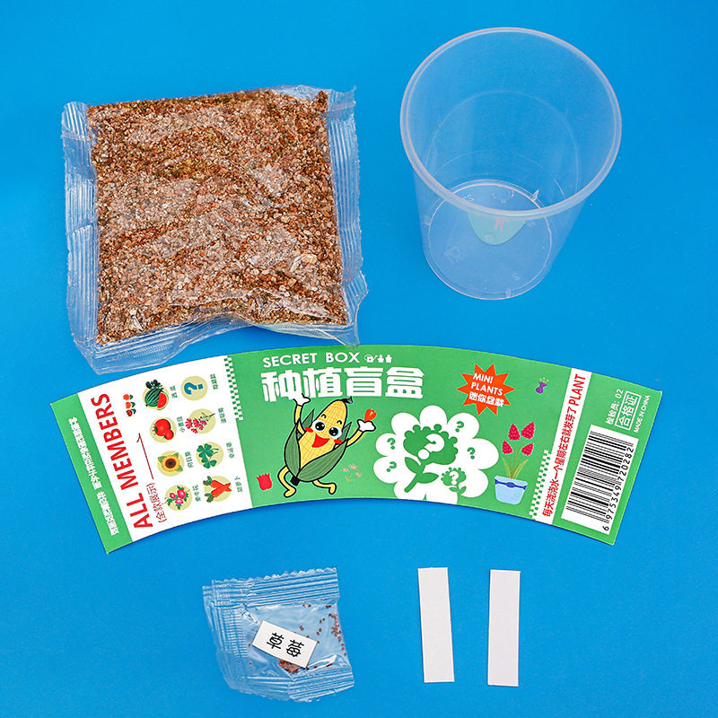 植物盆栽盲盒学生儿童伴手礼幼儿园奖品节日赠送手动diy种植礼物