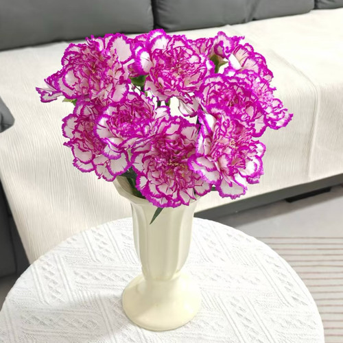康乃馨鲜花云南直发基地同城速递配送水养花束昆明生日母亲节礼物 - 图0