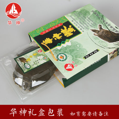 【生态甲鱼】华神五年公甲鱼/中华鳖/王八/水产生态老鳖2斤 - 图2