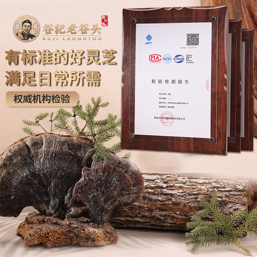老谷头灵芝切片长白山250g赤紫灵芝片非生林芝粉泡水灵芝茶 - 图1