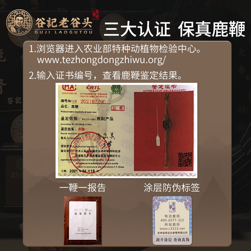 老谷头马鹿鞭整根140g礼盒送泡酒料 老谷头鹿制膏/鹿制品