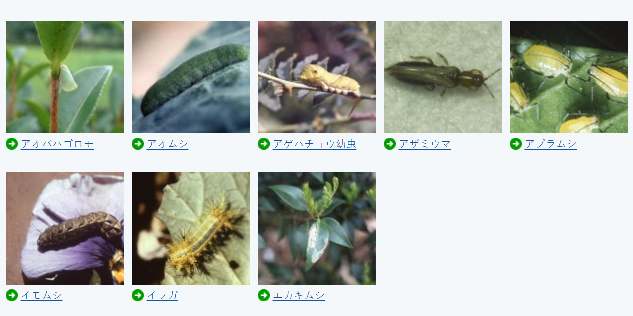 【住友颗粒】日本产dX GF新款二合一撒盆面 植物预防【小白药】新 - 图3