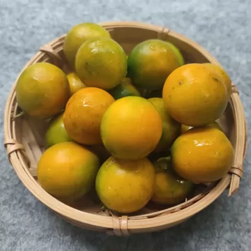 广西阳朔脆皮金桔中大果5斤[17元优惠券]-寻折猪