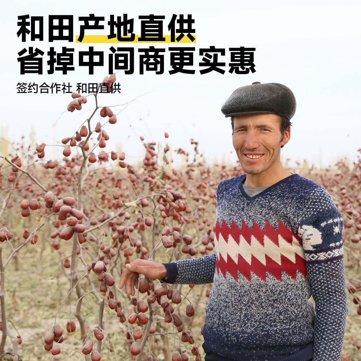 西域美农和田红枣特级新疆特产特大枣子干货泡水灰枣果干零食包邮,淘宝优惠券,粉丝福利购,淘宝优惠卷