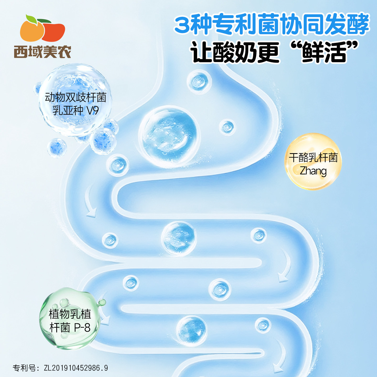 西域美农欧若姆鲜奶皮子酸奶plus1kg内蒙古特产奶制品非干噎酸奶,淘宝优惠券,粉丝福利购,淘宝优惠卷