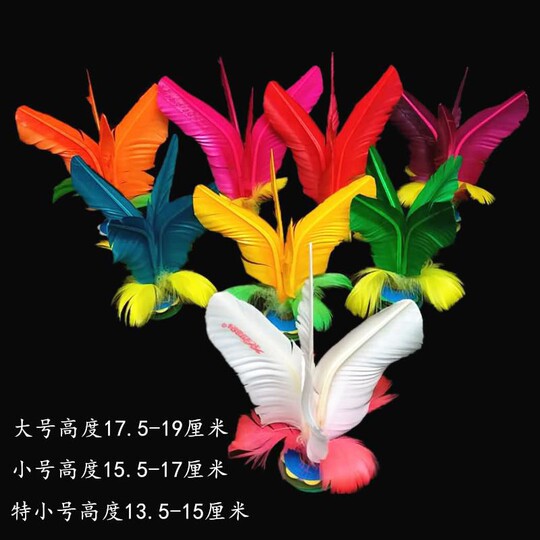 丹东火翎鸟毽球好朋友成人小学生健身比赛学校专用毽子好踢幼儿园