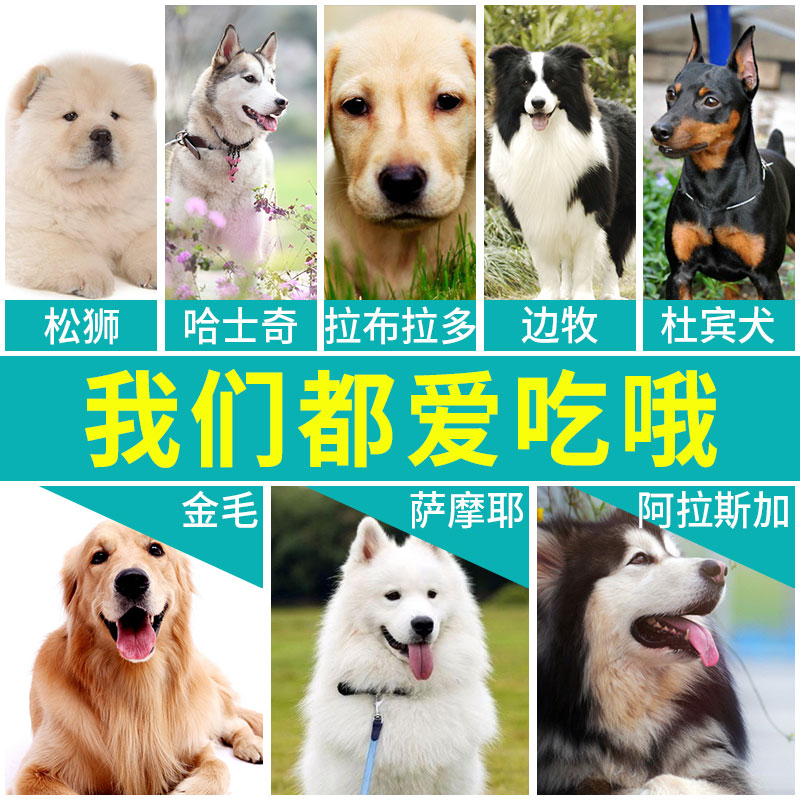 比瑞吉老年犬粮12KG小中大型犬高龄犬狗粮德牧金毛通用型全价狗粮