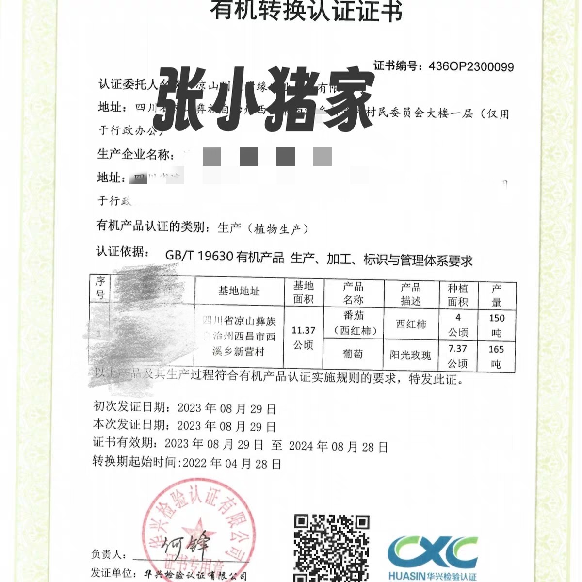 张小猪番茄现摘6斤生态种植农家自然熟新鲜西红柿非转基因顺丰,淘宝优惠券,粉丝福利购,淘宝优惠卷