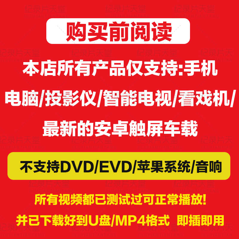 电影u盘女特工电影集性感动作电影大片高清视频电脑车载电视通用