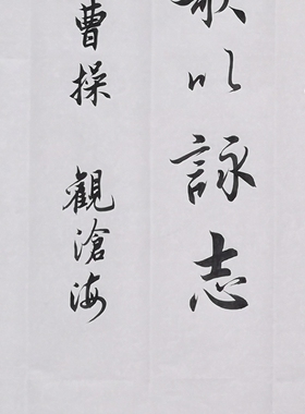 观沧海书法定制装饰挂画送礼