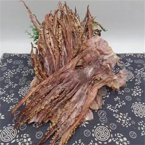 Dried squid head Newly dried squid head