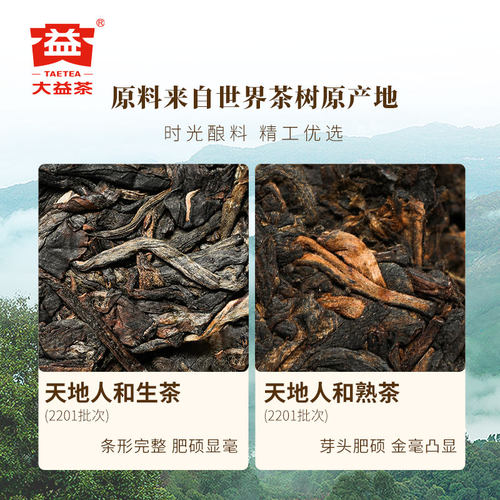 【端午茶叶礼盒】大益普洱茶天地人和普洱生茶熟茶双饼357g*2饼-图2