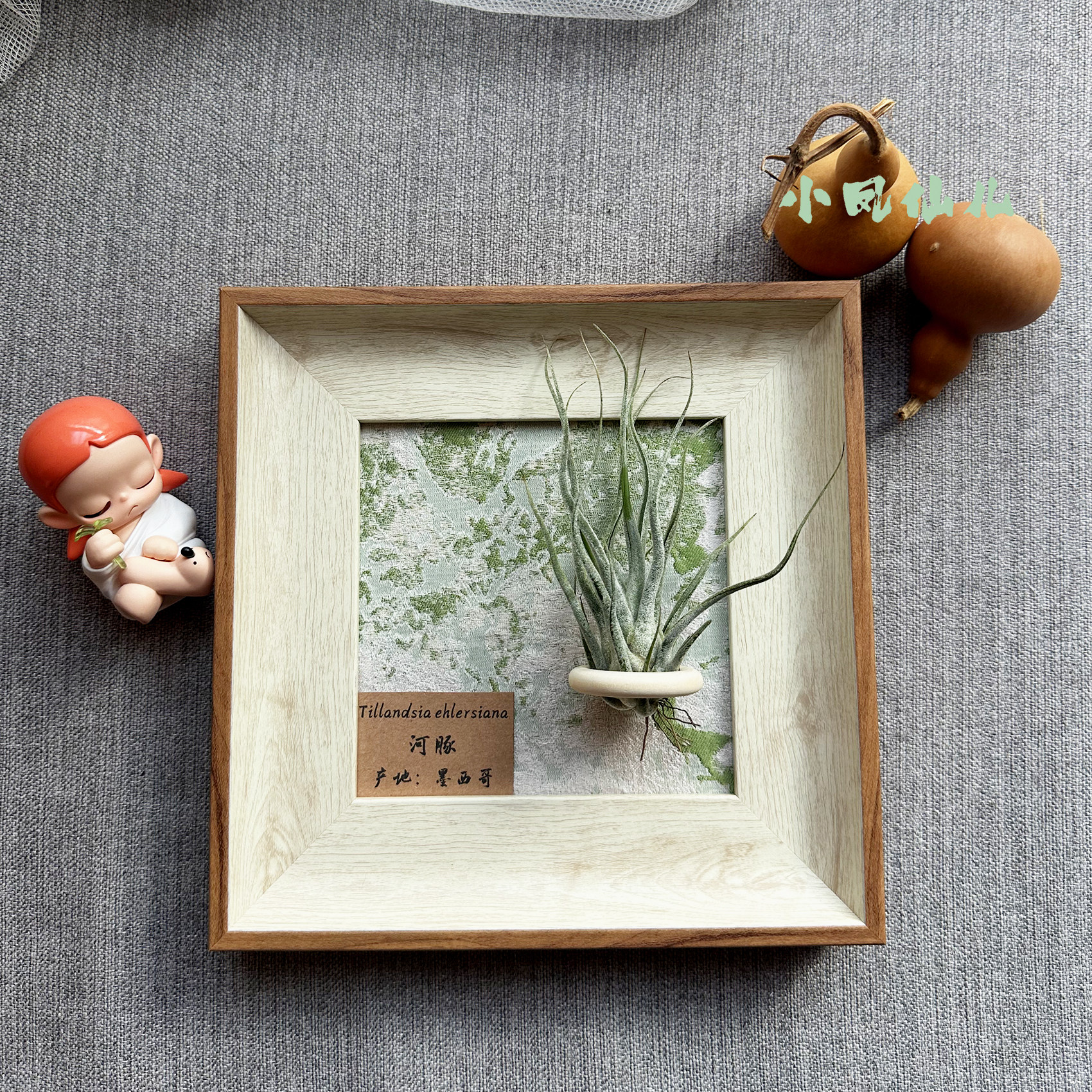 ins空气凤梨套餐懒人现代装饰画框复古桌面室内墙上白木色相框5寸,淘宝优惠券,粉丝福利购,淘宝优惠卷