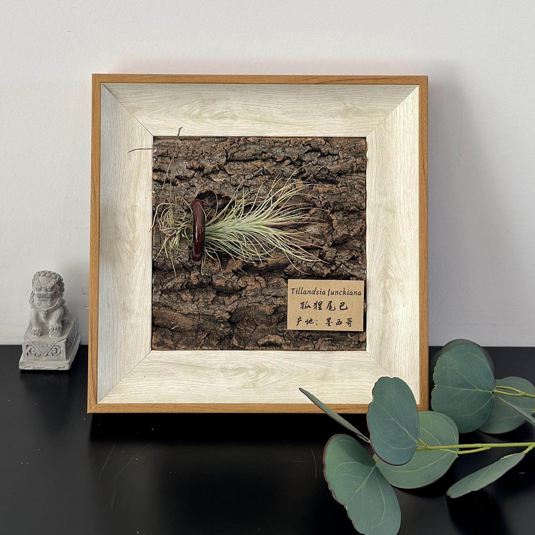 ins空气凤梨套餐懒人现代装饰画框复古桌面室内挂墙真树皮相框6寸,淘宝优惠券,粉丝福利购,淘宝优惠卷
