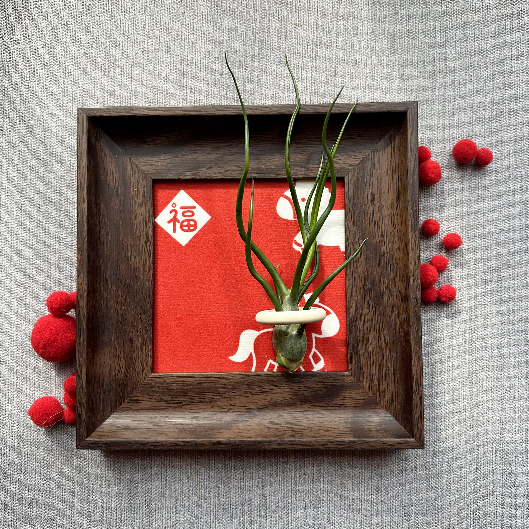 小凤仙儿空气凤梨套餐懒人画框桌面墙上深棕色相框5寸马年新年款,淘宝优惠券,粉丝福利购,淘宝优惠卷