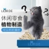 [5 nhận một] Lorde Lane mèo xả rác mèo mèo nhà vệ sinh khử mùi mèo xả rác mèo xả rác 2L - Cat / Dog Beauty & Cleaning Supplies