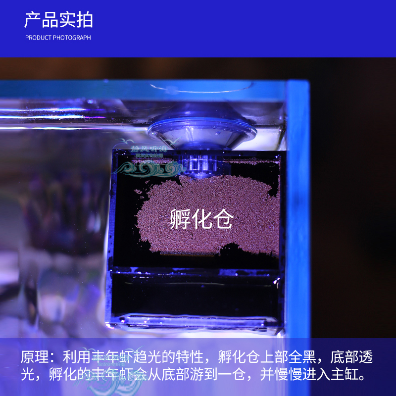 海缸专用缸内丰年虾孵化器自动繁殖大红卵丰年虾静风听海原创-图0