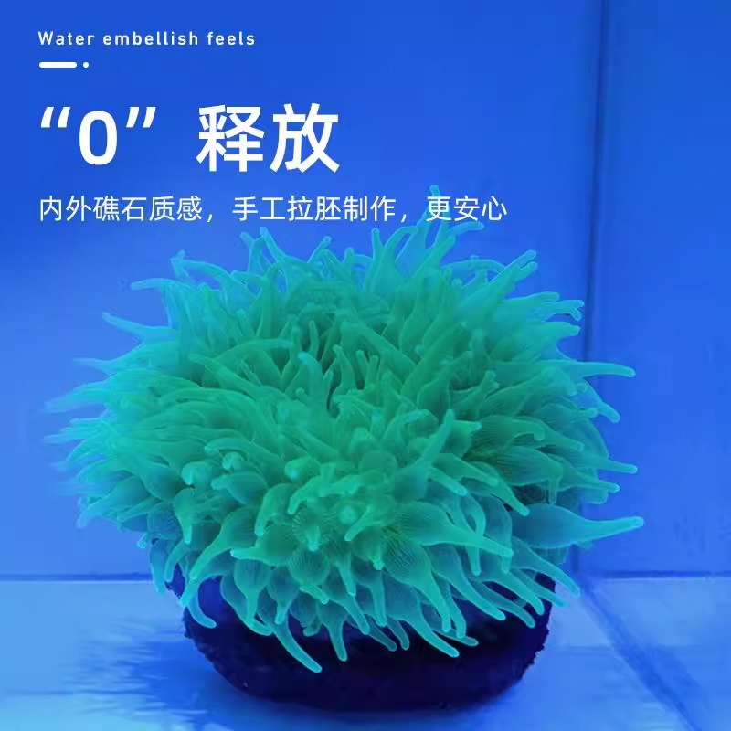 幽影奶嘴海葵窝造景摆件鱼缸造景海缸造景奶嘴固定防跑躲避罐 - 图0
