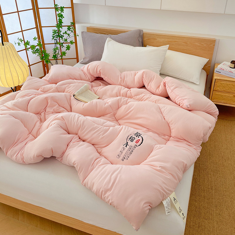 水洗棉大豆纤维被子冬被棉芯加厚保暖春秋四季通用宿舍被冬季 水洗棉大豆纤维被子冬被棉芯加厚保暖春秋四季通用宿舍被冬季