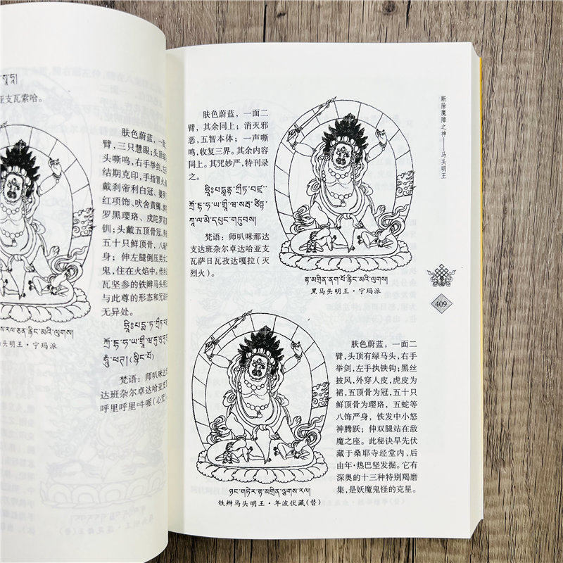 神明大全 藏传佛学神明大全藏传佛教神明大全 上下部 曲甘完玛多杰译青海民族出版社佛学经典书籍入门套装书基础知识书籍,淘宝优惠券,粉丝福利购,淘宝优惠卷