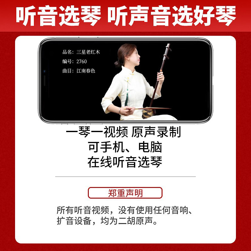  大音乐器二胡