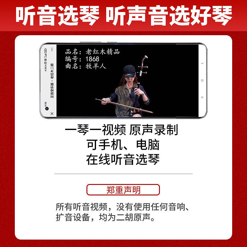  大音乐器二胡