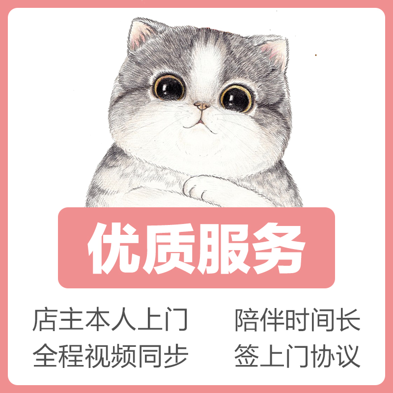 北京宠物上门喂猫遛狗猫咪洗澡剃毛家庭寄养托管驱虫陪护剪指甲-图0