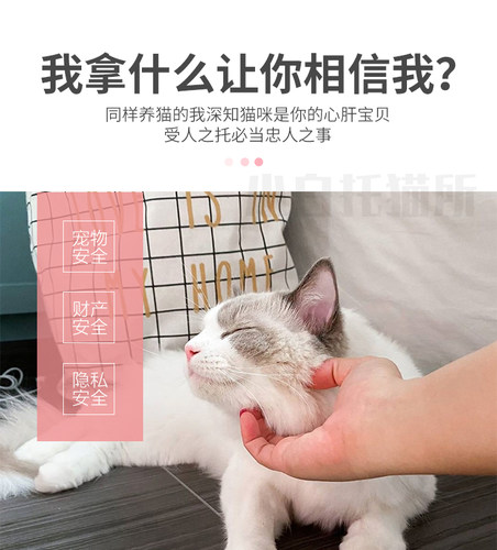 北京宠物上门喂猫遛狗猫咪洗澡剃毛家庭寄养托管驱虫陪护剪指甲 - 图1