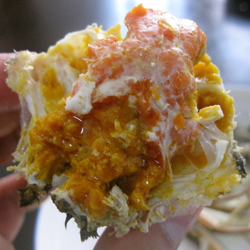 【余记17年老店】大闸蟹鲜活螃蟹公母湖蟹河蟹大蟹4.0两母礼盒,淘宝优惠券,粉丝福利购,淘宝优惠卷