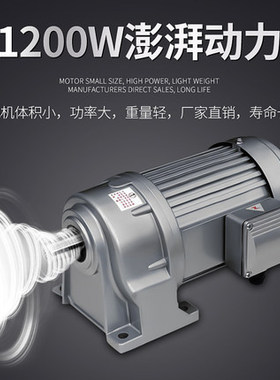 中药制丸机商用小型家用水蜜丸机