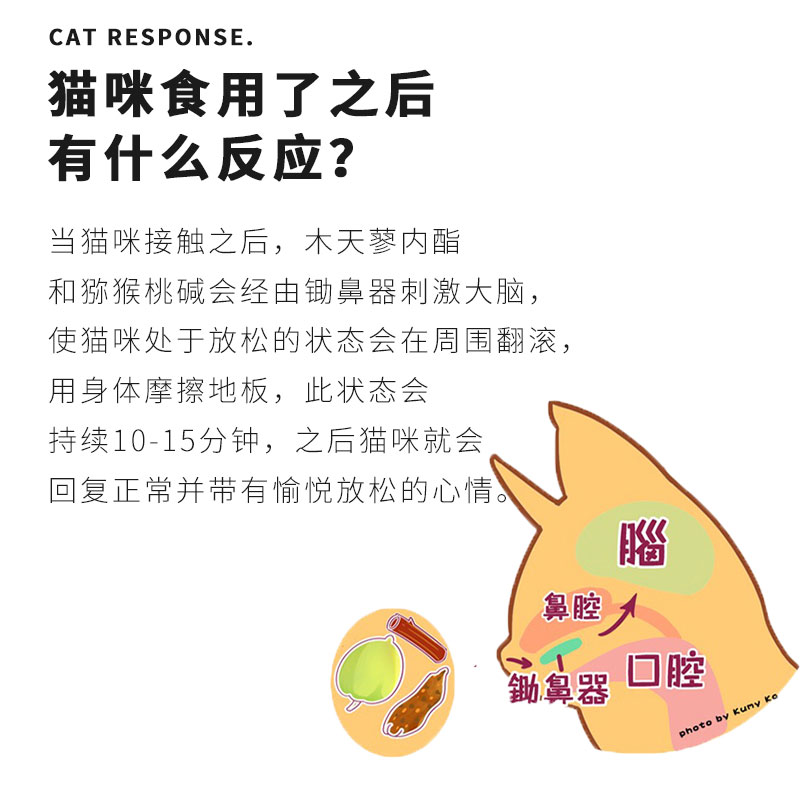 日本Smack斯玛库木天蓼虫瘿纯果粉舒缓情绪增强食欲助于消化薄荷 - 图1