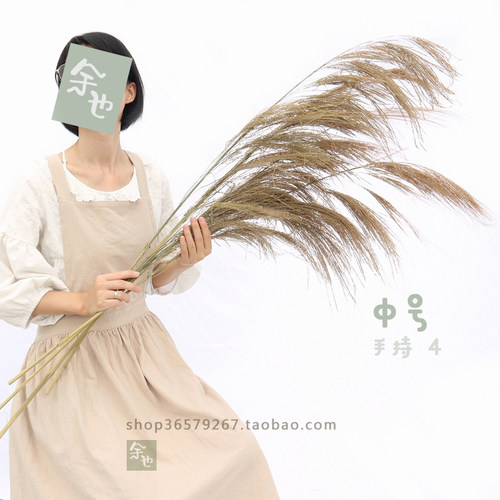 芦苇蒲苇干花婚纱店橱窗摆件婚礼婚庆现场道具装饰书店客栈文艺 - 图0