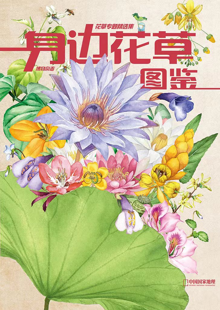 正版授权 美味博物学2023年增刊博物杂志 2024年四时有味 博物君式科普海错图笔记青少年版国家地理出品博物君大百科人文地理博物 - 图2