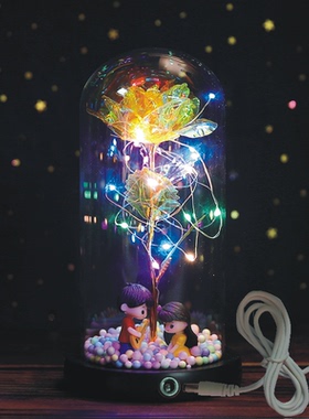 插电玻璃罩永生玫瑰花毕业礼物送女生闺蜜生日七夕节女友摆件夜灯