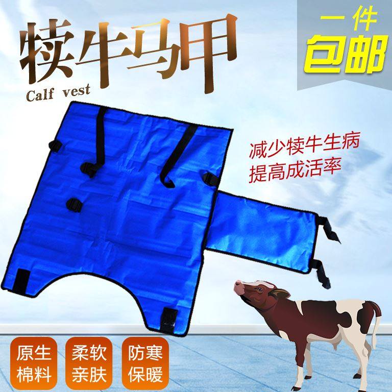 牛犊保暖衣加厚防水防风犊牛服外套小牛保温衣服牛犊子防寒衣马甲 - 图2