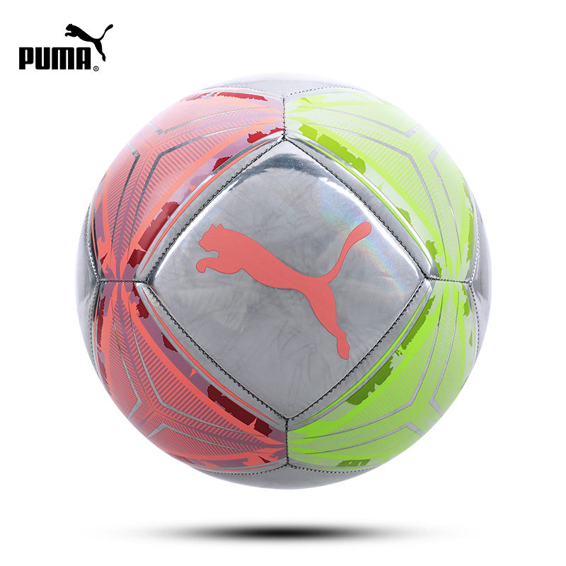puma 5号欧洲杯4号男成人儿童足球 极地运动足球
