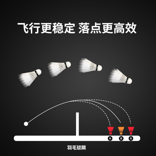 李宁羽毛球耐用正品专业训练室外防风比赛G100耐打凯胜12只鹅毛球