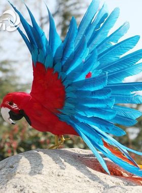 仿真鹦鹉摆件真羽毛摄影道具