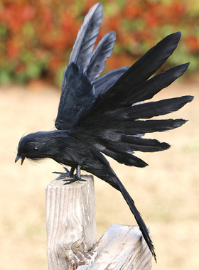 仿真动物乌鸦模型摆件