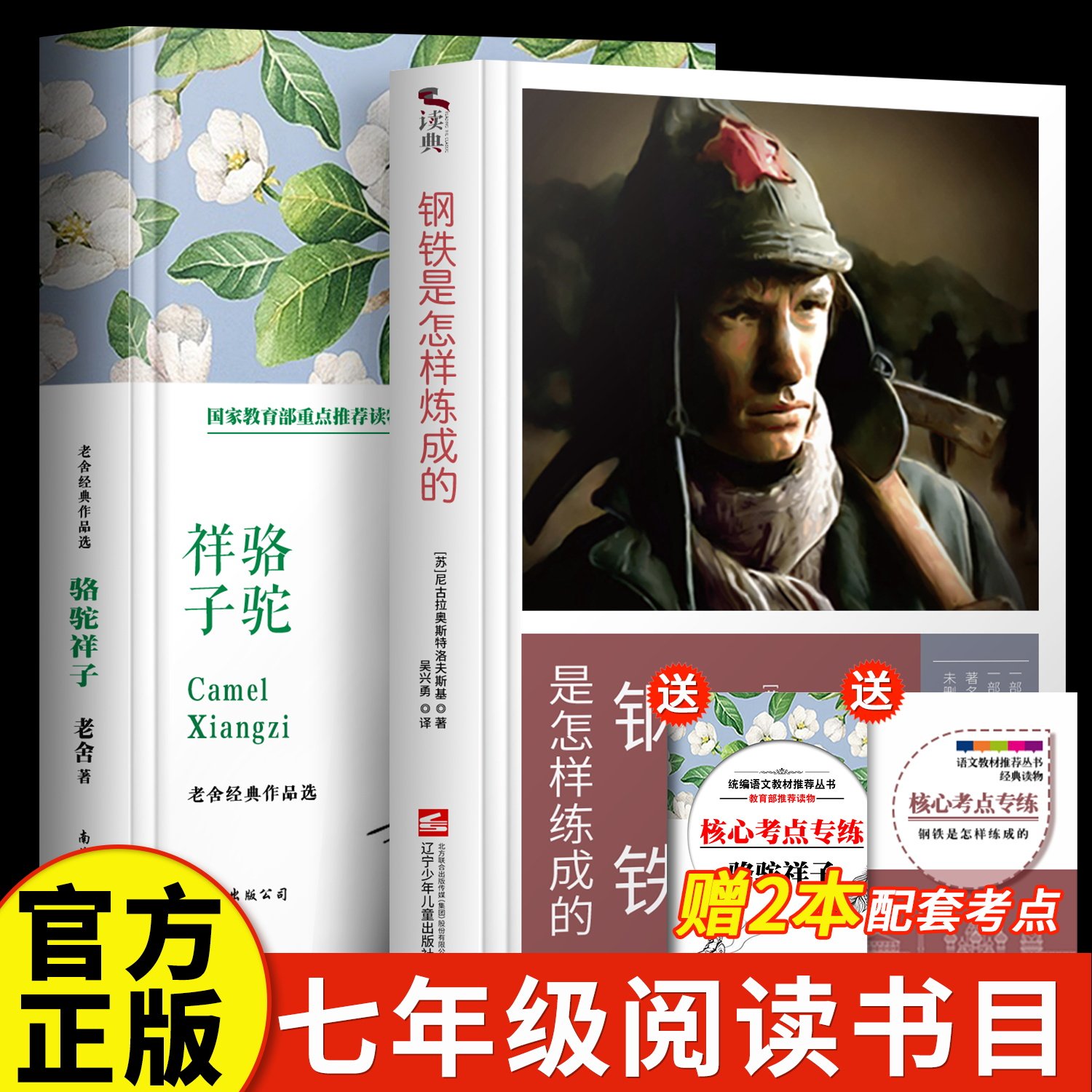 钢铁是怎样炼成的+骆驼祥子+经典常谈 +傅雷家书正版原著初中生语文课外书阅读 八年级下册的课外世界名著书籍傅雷家书练成