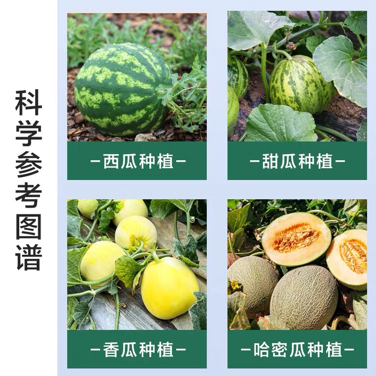 西瓜六必治万能杀菌剂叶面专用肥微生物菌剂甜瓜哈密瓜黄叶面肥料 - 图1