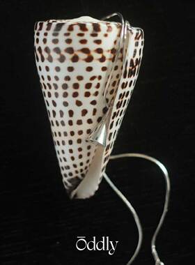 oddly 新款号角吊坠镀金 纯银蛇骨项链 高级感原创设计锁骨链礼物