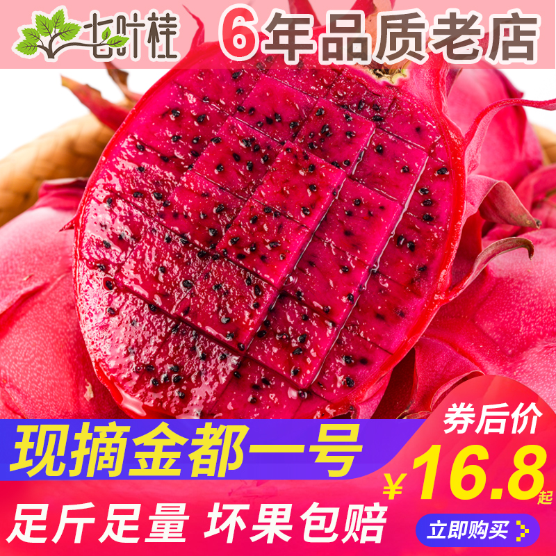 七叶桂果园现摘广西红心火龙果新鲜金都一号中大果10 当季红色肉整箱水果5斤1