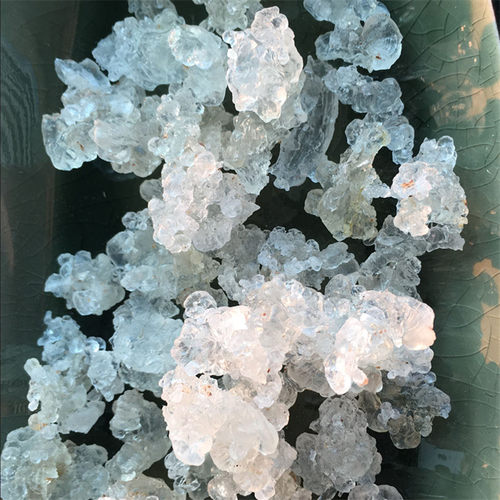 5+天然拉丝雪燕1斤植物燕窝拉丝桃胶皂角米伴侣 - 图1