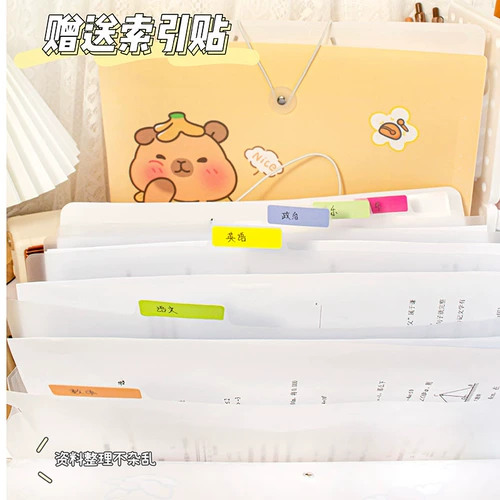 А4 папка много -слойная ученика с прозрачными страницами и милыми тестовыми документами для организации артефактов студенческих школьных книж