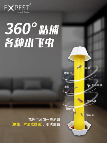 小飞虫诱捕器除卫生间飞蛾EXPEST捕捉苍蝇室内家用粘蝇纸蛾蚋星 - 图3
