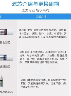 【品牌直营】碧云泉G5/R302E滤芯